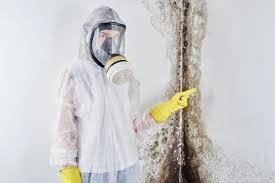 Best Industrial Mold Remediation  in Gautier, MS